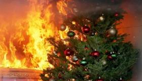 Об установлении на территории Республики Карелия особого противопожарного режима