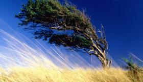 Об ухудшении погодных условий