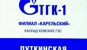 В Кемском районе на Путкинской ГЭС филиала  «Карельский» ПАО «ТГК-1» 11 марта 2021 года прошли  тактико-специальные учения 